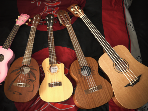 How to be a Professional Ukulele Musician