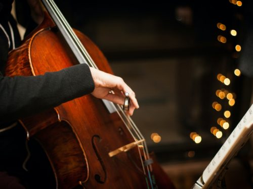 Explained All Kinds of String Instruments