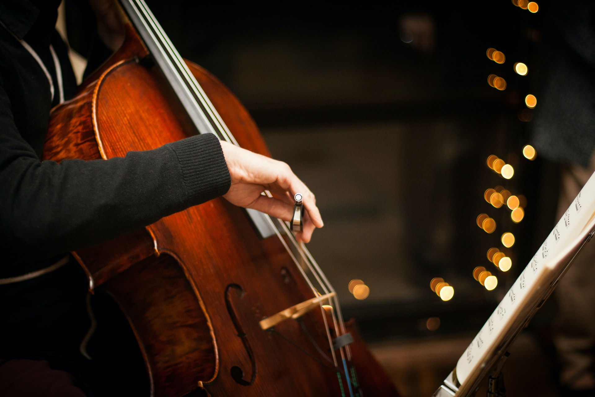 violin